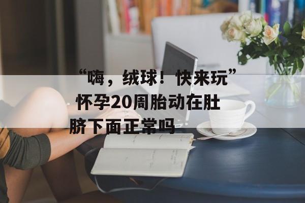 “嗨，绒球！快来玩” 怀孕20周胎动在肚脐下面正常吗