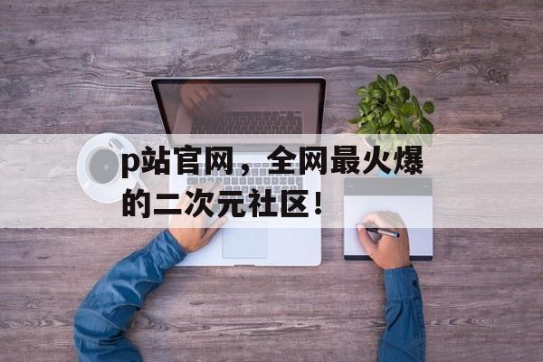 p站官网，全网最火爆的二次元社区！