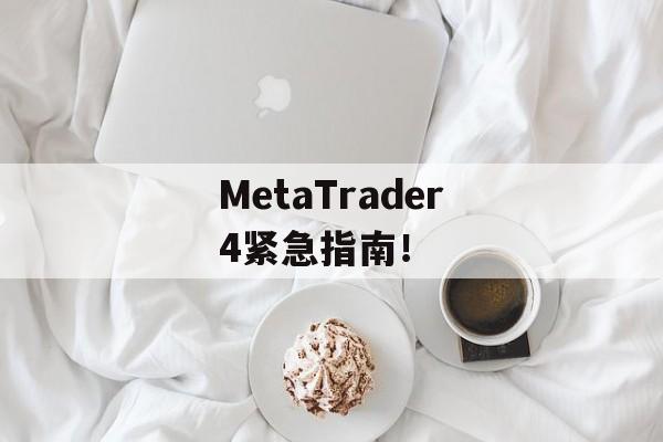 MetaTrader4紧急指南！