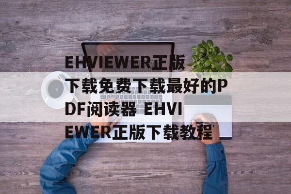 EHVIEWER正版下载免费下载最好的PDF阅读器 EHVIEWER正版下载教程