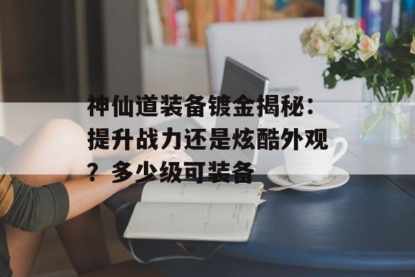 神仙道装备镀金揭秘：提升战力还是炫酷外观？多少级可装备