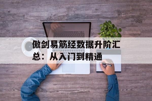 傲剑易筋经数据升阶汇总：从入门到精通