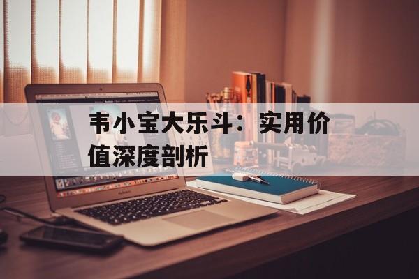 韦小宝大乐斗：实用价值深度剖析