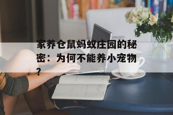 家养仓鼠蚂蚁庄园的秘密：为何不能养小宠物？