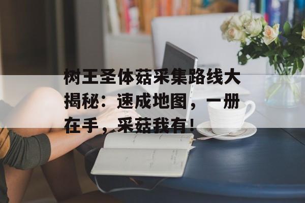 树王圣体菇采集路线大揭秘：速成地图，一册在手，采菇我有！