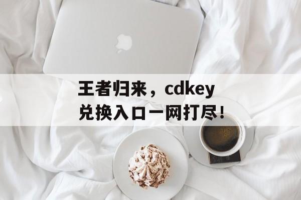 王者归来，cdkey兑换入口一网打尽！