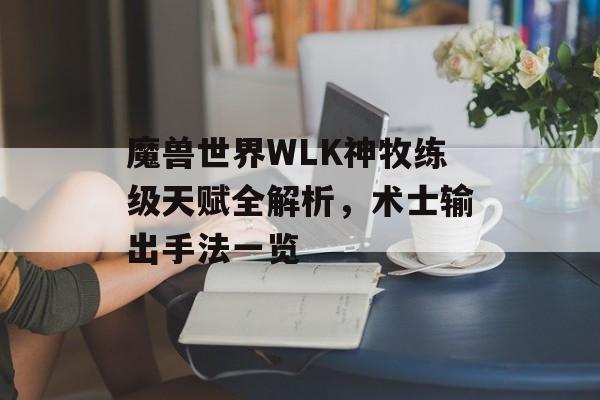 魔兽世界WLK神牧练级天赋全解析，术士输出手法一览