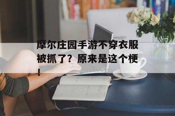 摩尔庄园手游不穿衣服被抓了？原来是这个梗！