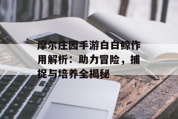 摩尔庄园手游白白鲸作用解析：助力冒险，捕捉与培养全揭秘