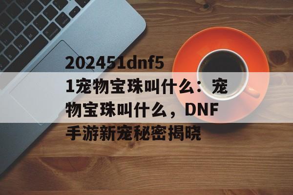 202451dnf51宠物宝珠叫什么：宠物宝珠叫什么，DNF手游新宠秘密揭晓