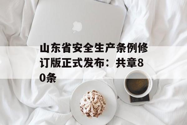 山东省安全生产条例修订版正式发布：共章80条