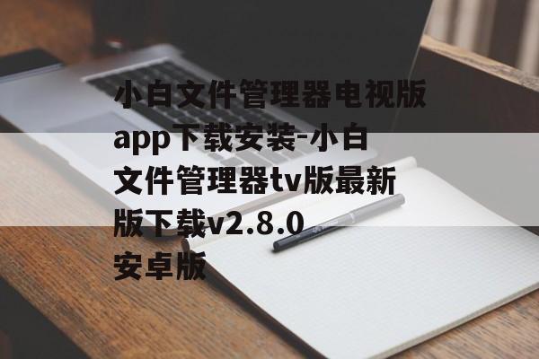 小白文件管理器电视版app下载安装-小白文件管理器tv版最新版下载v2.8.0 安卓版