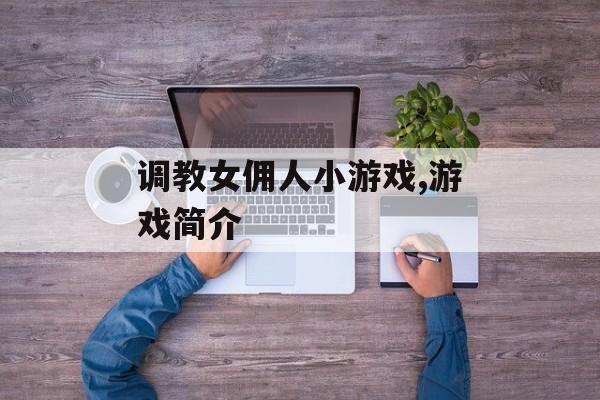 调教女佣人小游戏,游戏简介