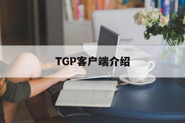 TGP客户端介绍