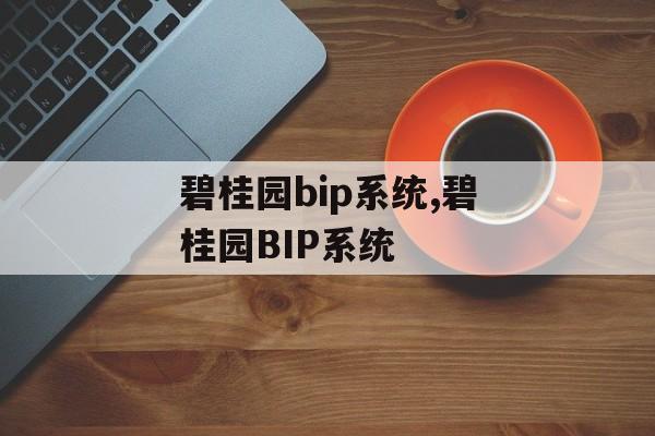 碧桂园bip系统,碧桂园BIP系统