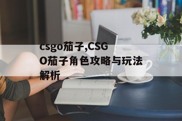 csgo茄子,CSGO茄子角色攻略与玩法解析